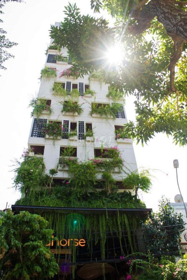 Seahorse Tropical Apartment Danang Exterior photo